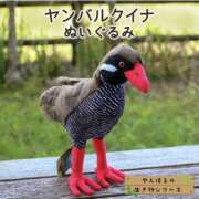 ヒメ日記 2025/05/22 13:34 投稿 ゆい 奥さま未来　立川店