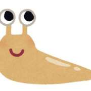 ヒメ日記 2025/06/05 13:10 投稿 ゆい 奥さま未来　立川店