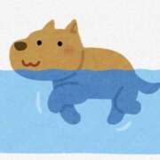 ヒメ日記 2025/07/31 14:21 投稿 ゆい 奥さま未来　立川店