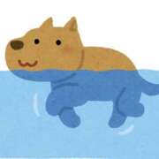 ヒメ日記 2025/07/31 14:40 投稿 ゆい 奥さま未来　立川店