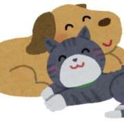 ヒメ日記 2025/11/21 14:42 投稿 ゆい 奥さま未来　立川店