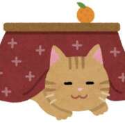 ヒメ日記 2025/12/04 14:47 投稿 ゆい 奥さま未来　立川店