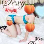 ヒメ日記 2025/04/09 21:48 投稿 あいさ セクシー(長崎)