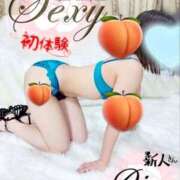 ヒメ日記 2025/04/28 21:18 投稿 あいさ セクシー(長崎)