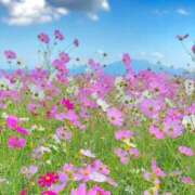 ヒメ日記 2025/05/19 22:42 投稿 あいさ セクシー(長崎)