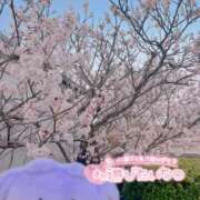 ヒメ日記 2025/03/21 22:56 投稿 のどか 155