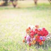 ヒメ日記 2024/12/15 14:02 投稿 歌織(かおり) グランドオペラ横浜