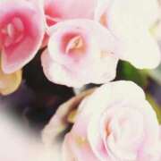 ヒメ日記 2024/12/16 15:02 投稿 歌織(かおり) グランドオペラ横浜