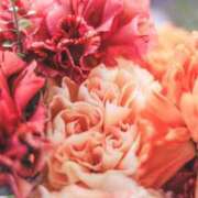 ヒメ日記 2024/12/22 12:03 投稿 歌織(かおり) グランドオペラ横浜