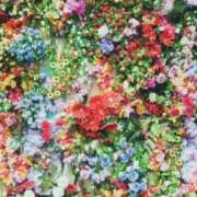 ヒメ日記 2025/01/17 01:22 投稿 歌織(かおり) グランドオペラ横浜