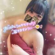 ヒメ日記 2024/12/28 18:16 投稿 ちいかわ 155