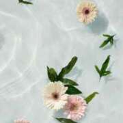 ヒメ日記 2024/12/24 16:32 投稿 美月(ミヅキ) グランドオペラ名古屋