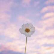 ヒメ日記 2025/01/05 14:03 投稿 美月(ミヅキ) グランドオペラ名古屋