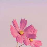 ヒメ日記 2025/01/05 14:12 投稿 美月(ミヅキ) グランドオペラ名古屋