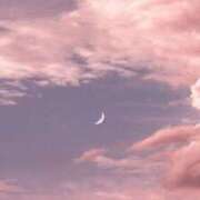 ヒメ日記 2025/03/26 20:01 投稿 美月(ミヅキ) グランドオペラ名古屋