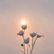 ヒメ日記 2025/03/26 19:56 投稿 美月(ミヅキ) グランドオペラ名古屋