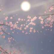 ヒメ日記 2025/04/05 17:36 投稿 美月(ミヅキ) グランドオペラ名古屋