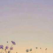 ヒメ日記 2025/06/02 23:09 投稿 美月(ミヅキ) グランドオペラ名古屋