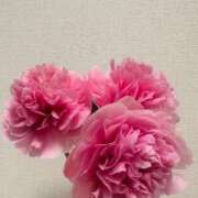 ヒメ日記 2025/06/08 18:23 投稿 美月(ミヅキ) グランドオペラ名古屋