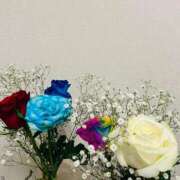 ヒメ日記 2025/06/27 04:39 投稿 美月(ミヅキ) グランドオペラ名古屋