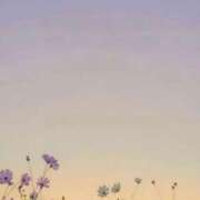 ヒメ日記 2025/06/27 04:48 投稿 美月(ミヅキ) グランドオペラ名古屋