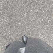 ヒメ日記 2025/02/05 14:03 投稿 ちはや 五反田・品川おかあさん