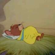 ひな お久しぶりの🙋 Welcome Cafe(ウェルカムカフェ) 吉祥寺店