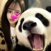 ヒメ日記 2025/12/16 13:42 投稿 りく NEW GENERATION