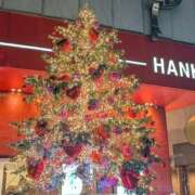 ヒメ日記 2025/11/27 18:36 投稿 りささん いけない奥さん 十三店