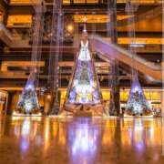 ヒメ日記 2024/12/09 19:51 投稿 りささん いけない奥さん 梅田店