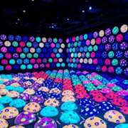 ヒメ日記 2026/02/12 13:39 投稿 りささん いけない奥さん 梅田店