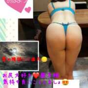 ヒメ日記 2025/07/12 08:18 投稿 なるせ 沼津人妻城