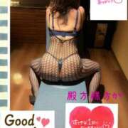 ヒメ日記 2025/09/21 09:37 投稿 なるせ 沼津人妻城