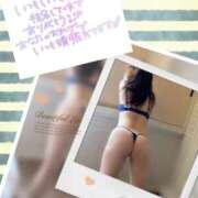 ヒメ日記 2025/12/01 08:01 投稿 なるせ 沼津人妻城