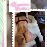 ヒメ日記 2026/01/27 08:36 投稿 なるせ 沼津人妻城