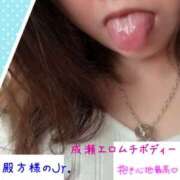 ヒメ日記 2026/08/06 09:42 投稿 なるせ 沼津人妻城