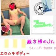 ヒメ日記 2026/09/14 09:26 投稿 なるせ 沼津人妻城