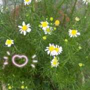 ヒメ日記 2025/04/27 10:51 投稿 槇田(まきた) 熟女出逢い会 『百合の園』 五反田店