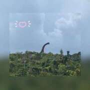 ヒメ日記 2025/10/24 18:31 投稿 槇田(まきた) 熟女出逢い会 『百合の園』 五反田店