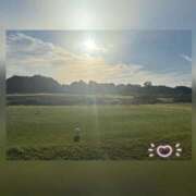 ヒメ日記 2025/11/14 12:21 投稿 槇田(まきた) 熟女出逢い会 『百合の園』 五反田店