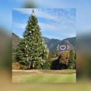 ヒメ日記 2025/11/26 16:51 投稿 槇田(まきた) 熟女出逢い会 『百合の園』 五反田店