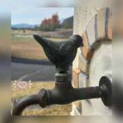 ヒメ日記 2025/12/07 10:41 投稿 槇田(まきた) 熟女出逢い会 『百合の園』 五反田店