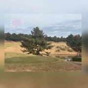 ヒメ日記 2025/12/12 09:41 投稿 槇田(まきた) 熟女出逢い会 『百合の園』 五反田店