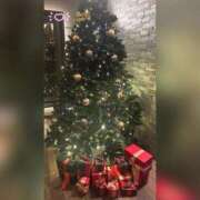 ヒメ日記 2025/12/20 10:41 投稿 槇田(まきた) 熟女出逢い会 『百合の園』 五反田店