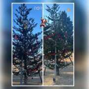 ヒメ日記 2025/12/25 12:02 投稿 槇田(まきた) 熟女出逢い会 『百合の園』 五反田店