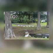 ヒメ日記 2026/09/06 07:31 投稿 槇田(まきた) 熟女出逢い会 『百合の園』 五反田店