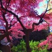 仲間 明日?? 十恋人～トレンド～