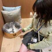 ヒメ日記 2025/03/09 16:32 投稿 なずな 素人系イメージSOAP彼女感大宮館