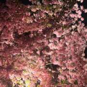 ヒメ日記 2025/03/14 13:37 投稿 なずな 素人系イメージSOAP彼女感大宮館