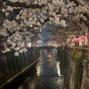 ヒメ日記 2025/03/29 14:29 投稿 なずな 素人系イメージSOAP彼女感大宮館